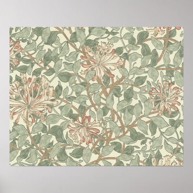 William Morris Honeysuckle Blume Wallpaper Poster (Vorne)