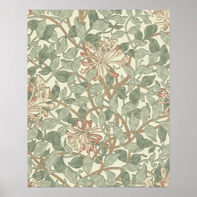 William Morris Honeysuckle Blume Wallpaper Poster (Vorne)