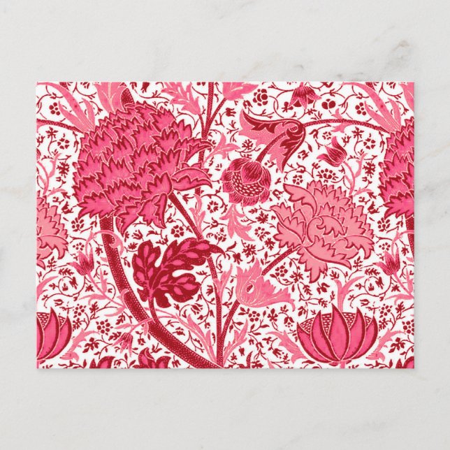 William Morris Jacobobobobohne, Coral Pink Postkarte (Vorderseite)