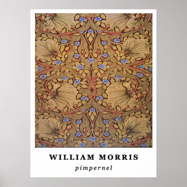 William Morris Pimpernel Poster (Vorne)