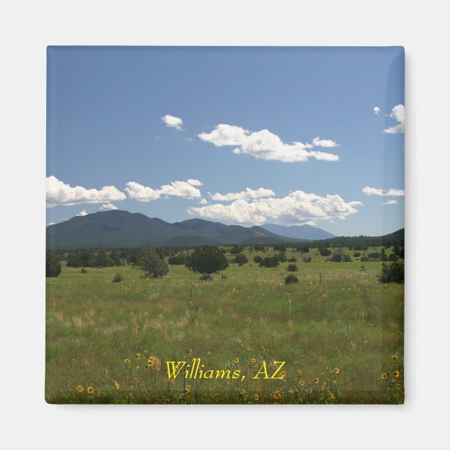 Williams AZ Magnet (Vorne)