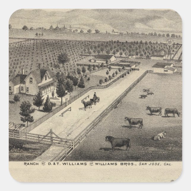 Williams Ranch, Goodrich-Steinbruch Quadratischer Aufkleber (Vorderseite)