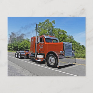 Williamsons FLC Bobtail-Postkarte Postkarte