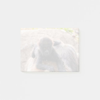 Willie B III im Zoo Atlanta (2023) Post-it Klebezettel