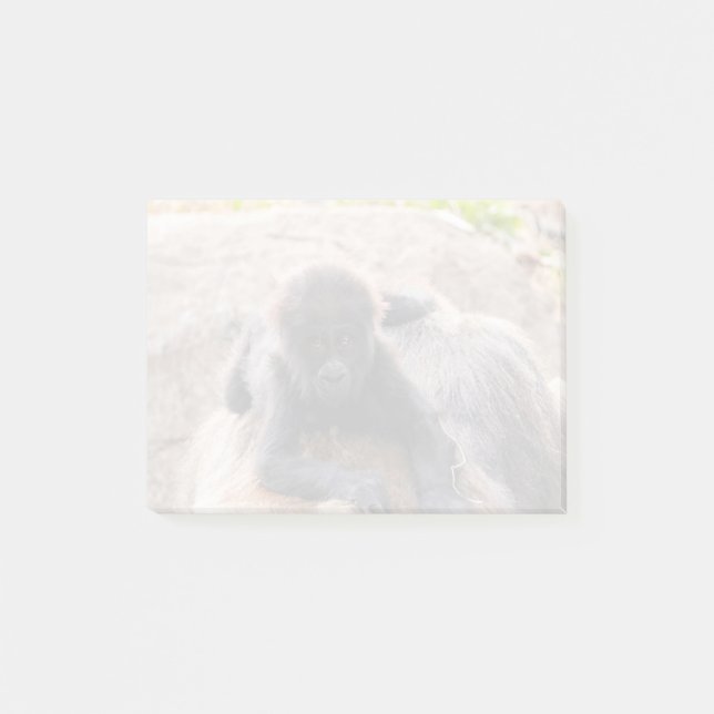 Willie B III im Zoo Atlanta (2023) Post-it Klebezettel (Vorderseite)