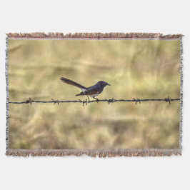 WILLIEWAGTAIL AUF ZAUN-QUEENSLAND-KUNST-EFFEKTEN DECKE