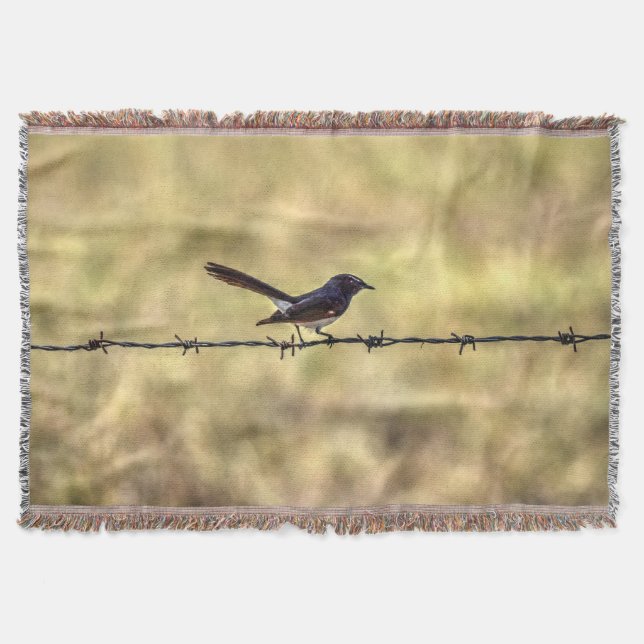 WILLIEWAGTAIL AUF ZAUN-QUEENSLAND-KUNST-EFFEKTEN DECKE (Vorderseite)