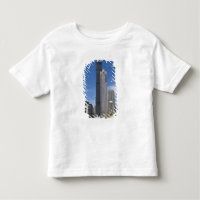 Willis Tower (früher der Sears Tower)