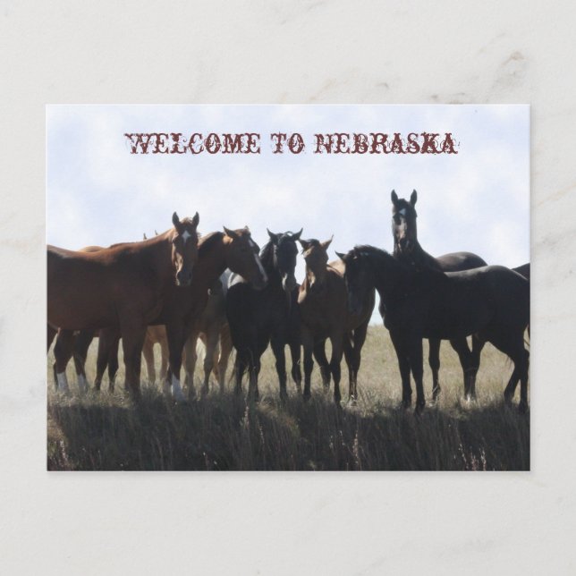 Willkommen auf der Postkarte von Nebraska (Vorderseite)