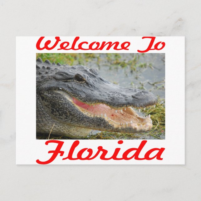 Willkommen bei Florida Gator Postkarte (Vorderseite)