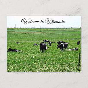 Willkommen bei Wisconsin Kühen in Field Postcard Postkarte