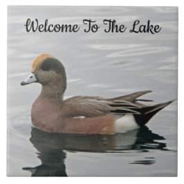 Willkommen Duck Foto Wigeon Calm Water Lake House Fliese