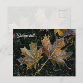 Willkommen Herbstlaub Postkarte