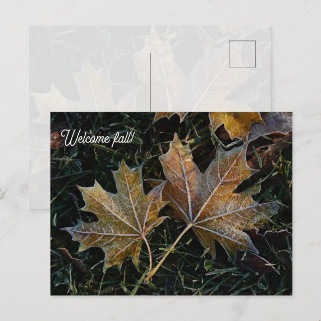Willkommen Herbstlaub Postkarte (Vorne/Hinten)