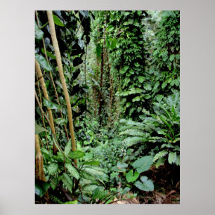 Willkommen im Dschungel Poster