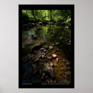 Willkommen im Dschungel Poster