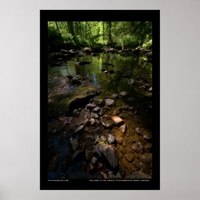 Willkommen im Dschungel Poster (Vorne)
