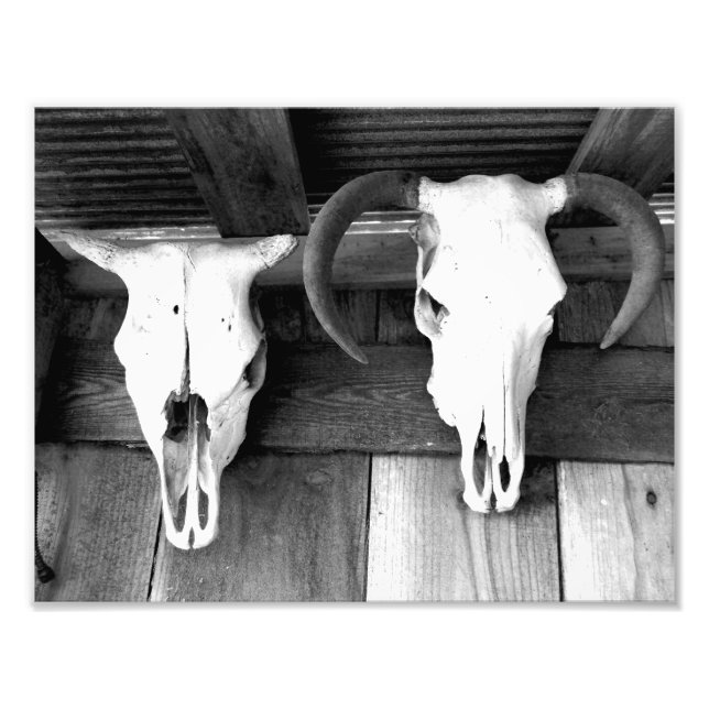 Willkommen in Arkansas Fotodruck (Vorne)