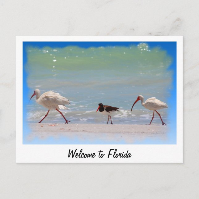 Willkommen in Florida Sommerurlaub Postkarte (Vorderseite)