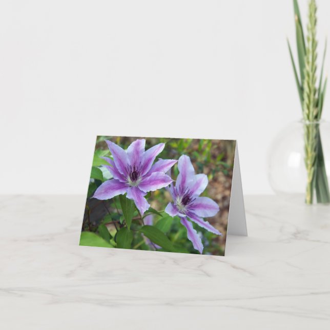 Willkommen! Karte (Vorderseite)