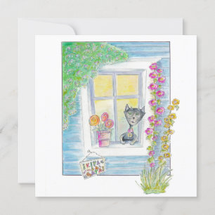 Willkommen - Neue Zuhause, Neue Katze - was immer 