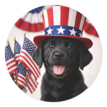 Willkommen Neuer US-Bürger Patriotischer Rundaufkl