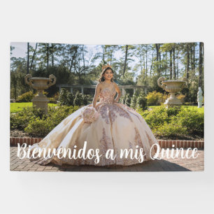 Willkommen Zu Meiner Quince Quinceañera Foto Banner