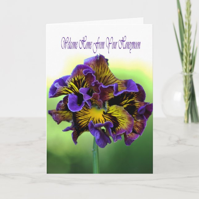 Willkommen Zuhause von Ihrer Flitterwoche Karte (Vorderseite)