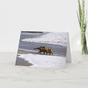 Willkommen zum Team! Karte