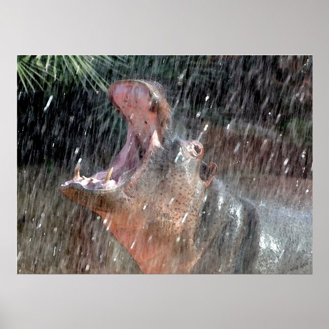 Willkommensdusche Hippopotamus Portrait Poster (Vorne)