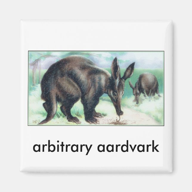willkürlicher Aardvark Magnet (Vorne)