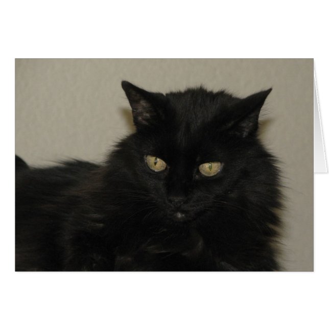 Willow (Vorderseite (Horizontal))