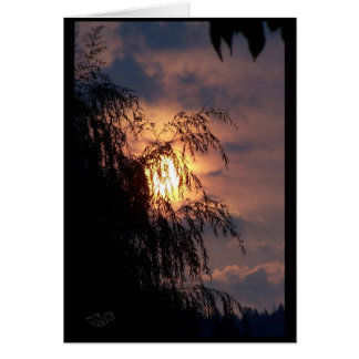 Willow bei Sunrise Card weinen