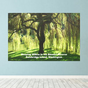 Willow Bloedel Reservat Bainbridge Island Leinwanddruck