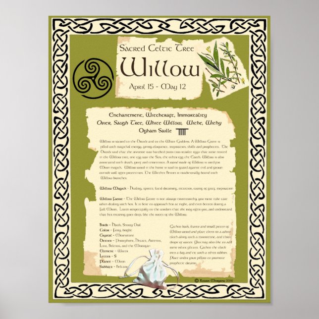 WILLOW CELTIC SACRED BAUM POSTER (Vorne)