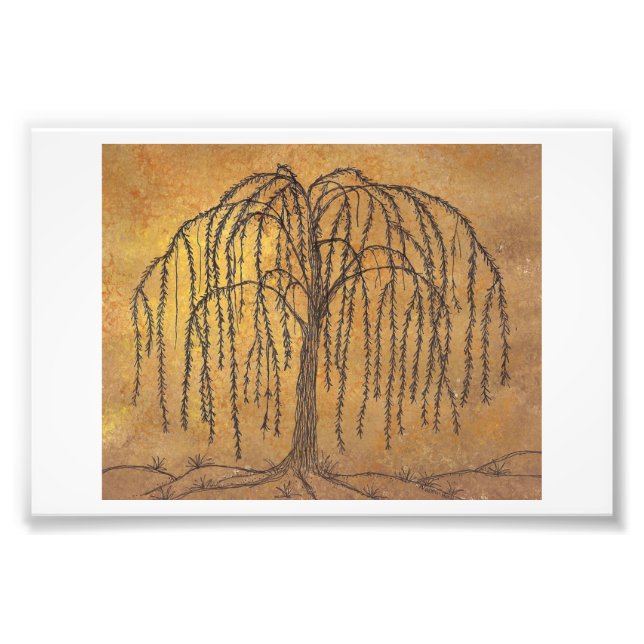 Willow Fotodruck (Vorne)