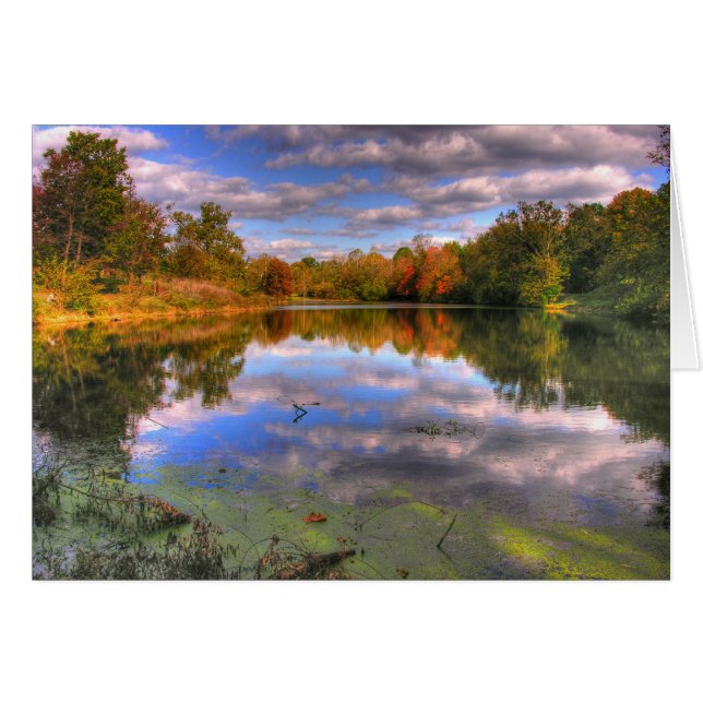 Willow Pond (Vorderseite (Horizontal))