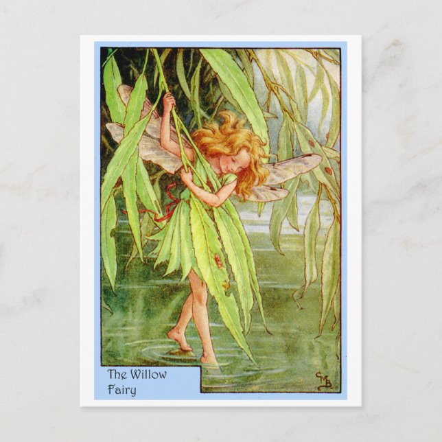Willow Tree Fairy Postkarte (Vorderseite)