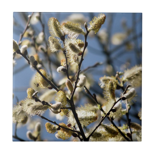 WILLOW TREM FLIESE (Vorderseite)