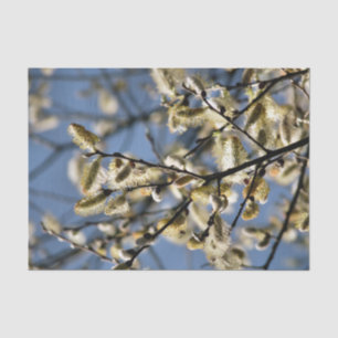 WILLOW TREM SEIDENPAPIER