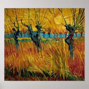 Willows bei Sunset   Van Gogh   Poster