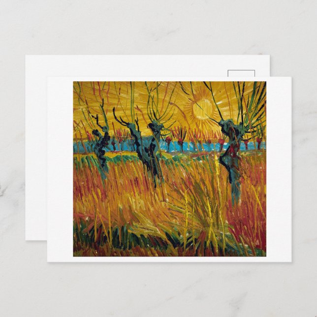 Willows bei Sunset | Van Gogh | Postkarte (Vorne/Hinten)