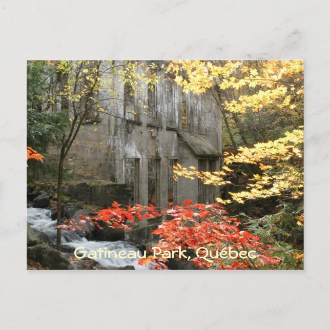 Willsons Ruinen, Quebec. Postkarte (Vorderseite)