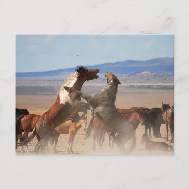 Willst du ein Stück von mir? Postkarte (Vorderseite)