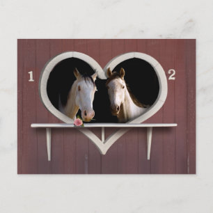 Willst du herumreiten? postkarte