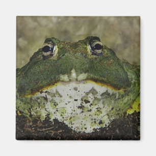 Willst du rauchen? Magnet? Magnet