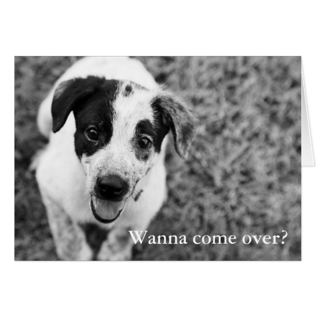 Willst du rüberkommen? (Vorderseite (Horizontal))