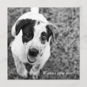 Willst du rüberkommen? einladung