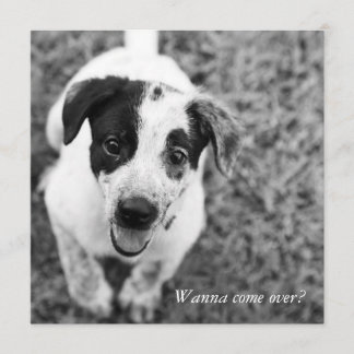 Willst du rüberkommen? einladung