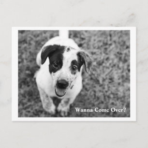 Willst du vorbeikommen? postkarte